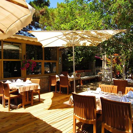 Assos Hunters Hotel (Adults Only) Extérieur photo